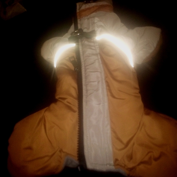 Dog Winter Jacket with Harness Built in - Picture 2 of 5